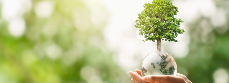 環境省デコ活イメージ